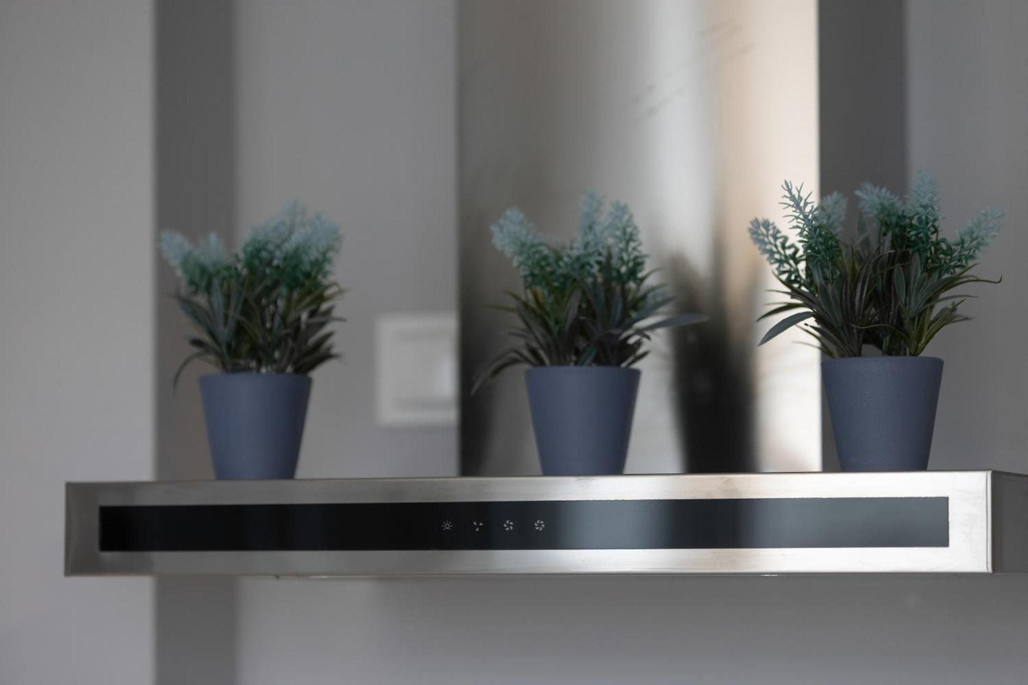 Unique Bright In By Renters Butas
